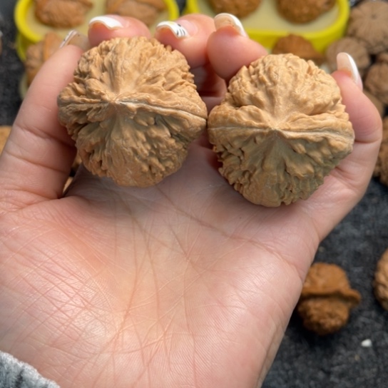 文玩核桃吊坠14霸王龙