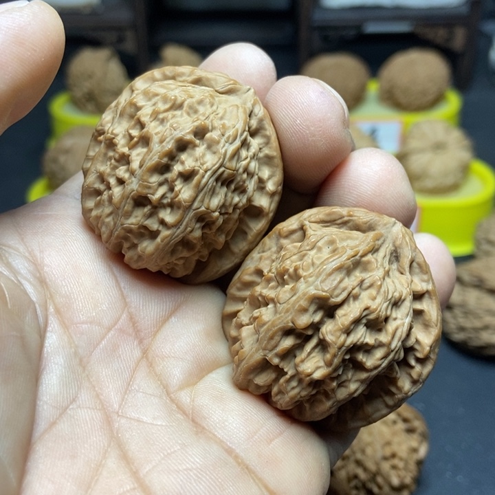 核桃云*济小白狮子66666