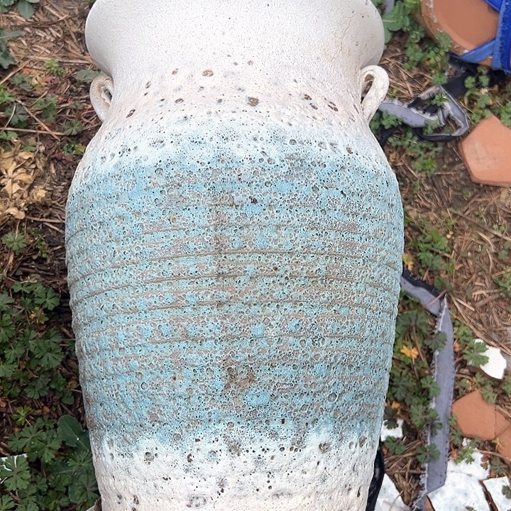 红陶口19高32福利价