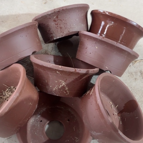 紫砂花盆   100-8。     19.5-8.5