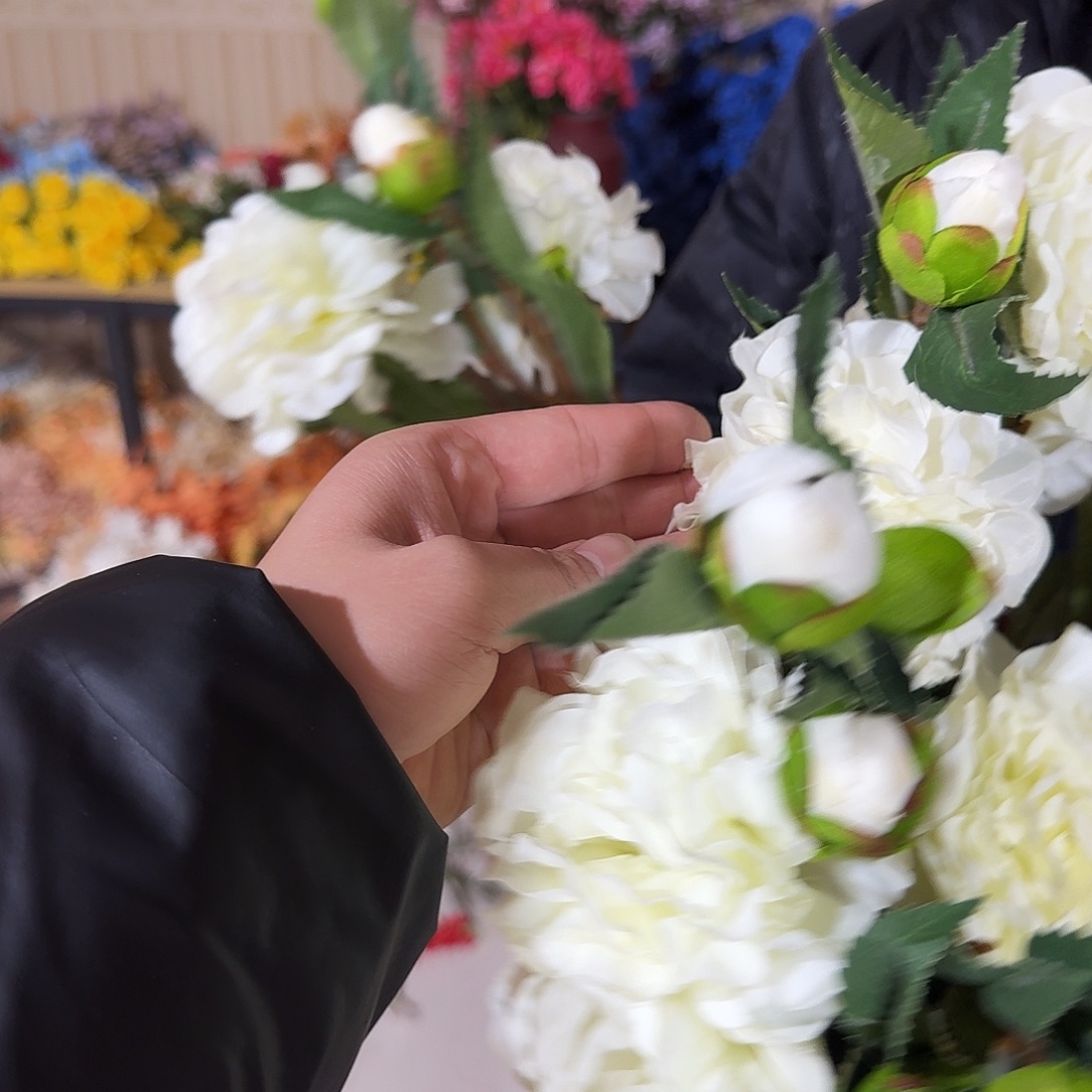 840号孤品白色牡丹6支