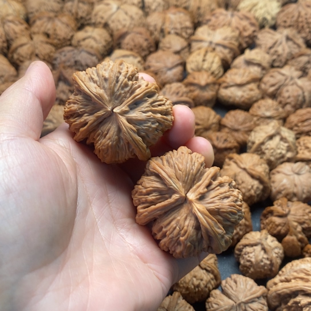 文玩核桃把件47白狮子连体