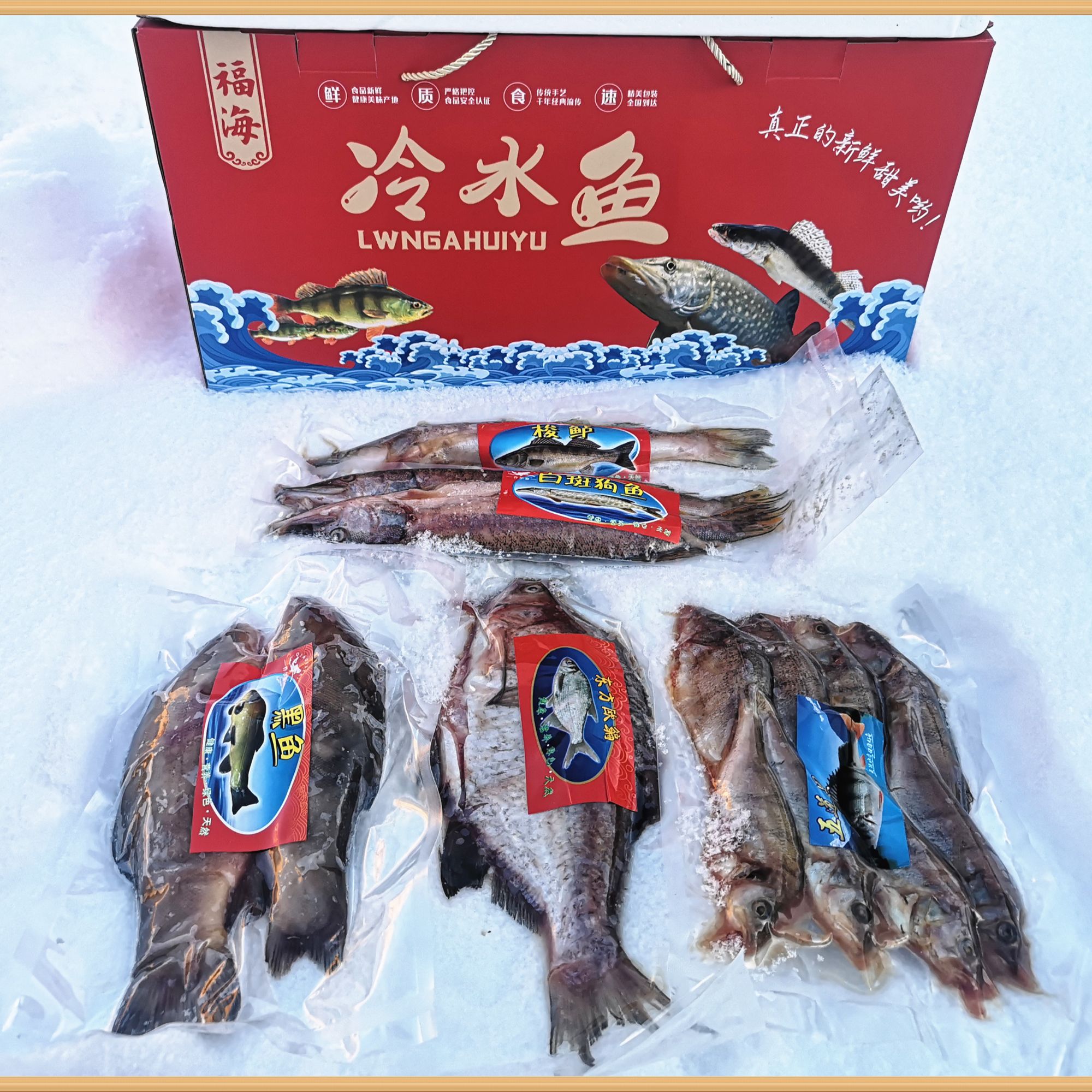 新疆福海野生冷水鱼-雅致款礼盒。五种鱼净重8斤，京东、EMS包邮