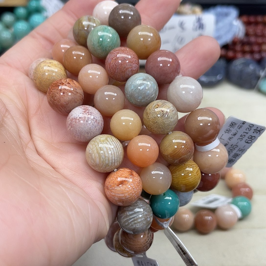 未镶嵌手串硅化珊瑚（珊瑚玉）用****1297