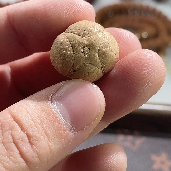 吊坠凤眼菩提尼泊尔小凤眼