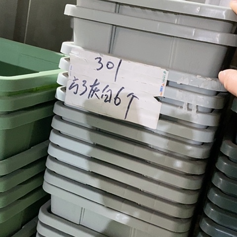 树脂编号301无托6个