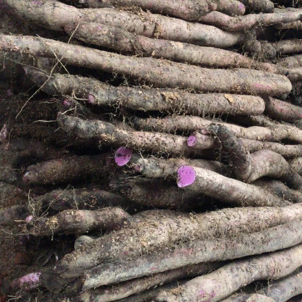 【顺丰包邮】云南新鲜老品种紫山药非铁棍山药更香甜粉糯宝宝辅食