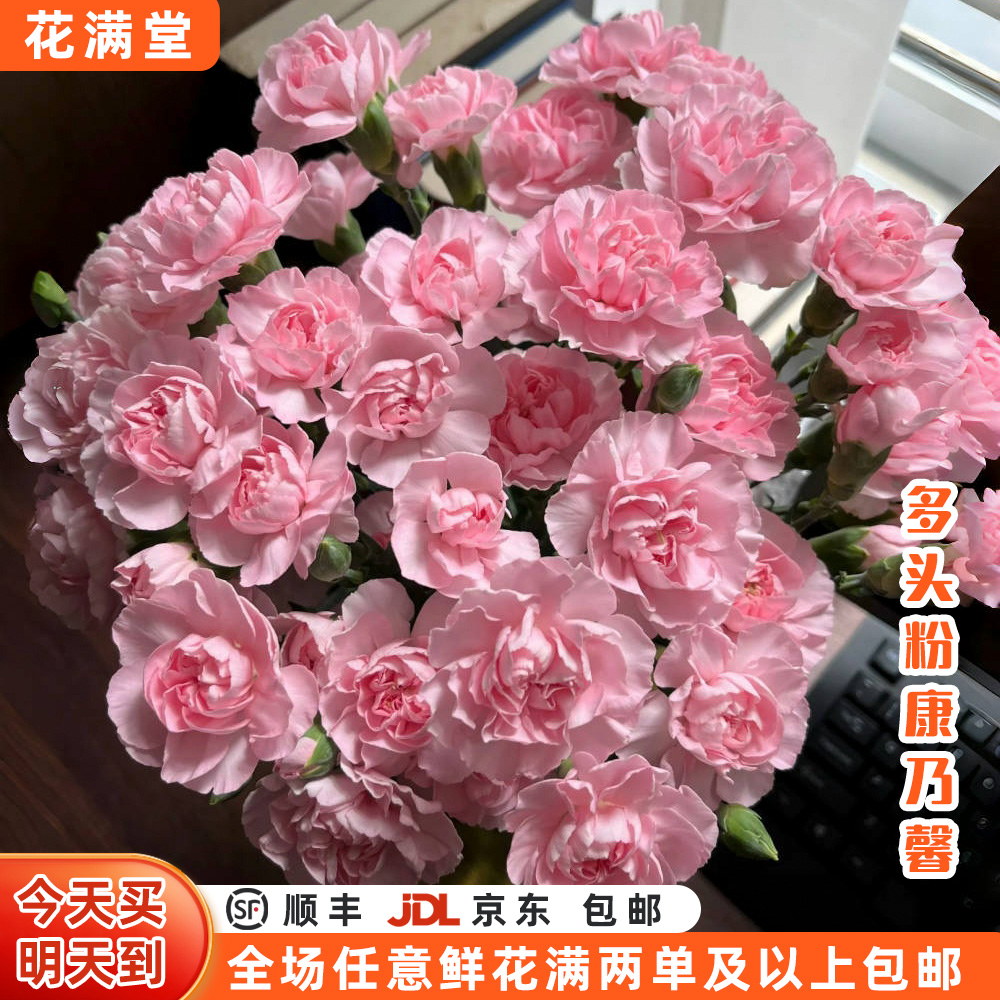 母亲节特惠【次日达·馨香满溢】粉色多头康乃馨十枝·鲜切花·生活鲜花·全场两单顺丰包邮·基地直发·批发·次日达
