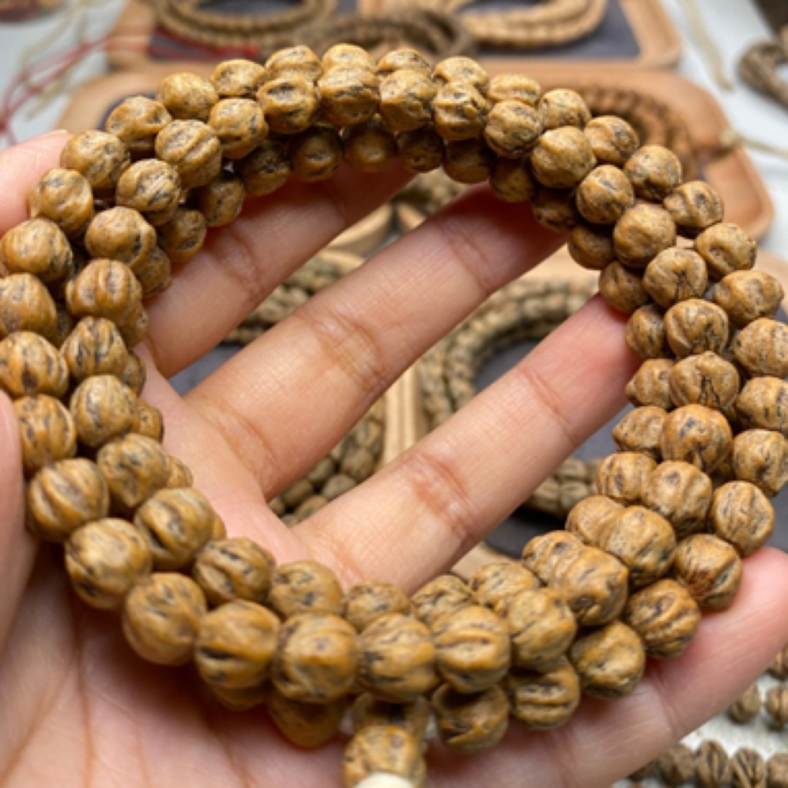 红芽高油高密百香籽