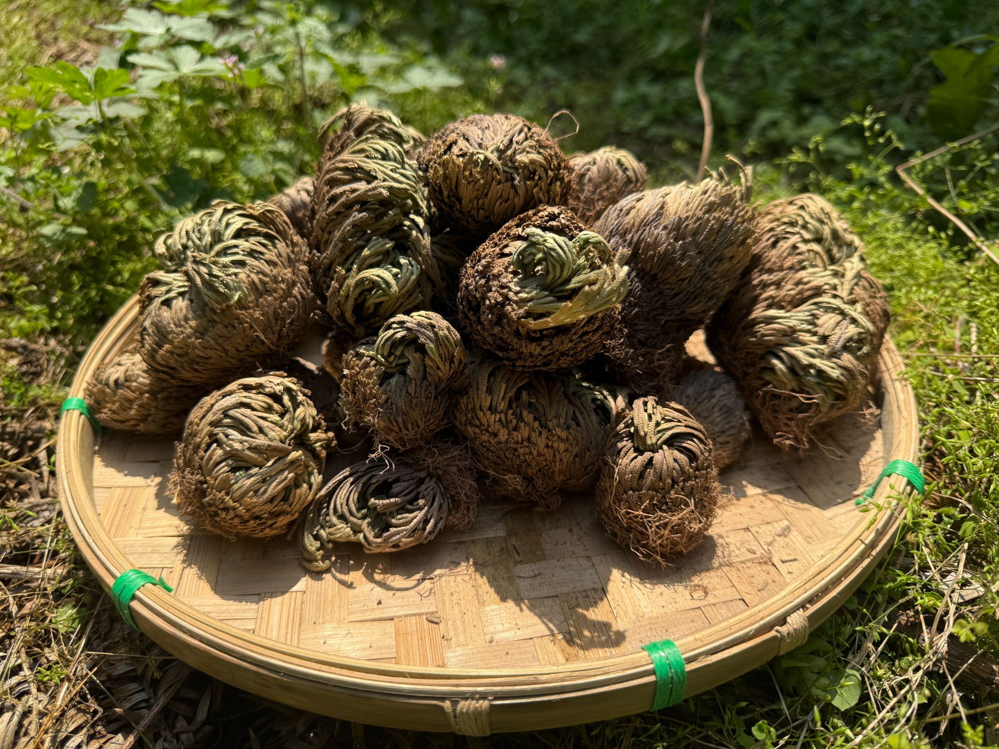 2【永-恒-草】净含量：250-1000g【阿奎现收】