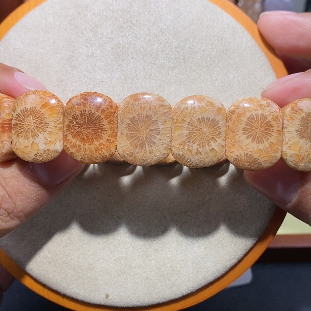 硅化珊瑚（珊瑚玉）手串未镶嵌21