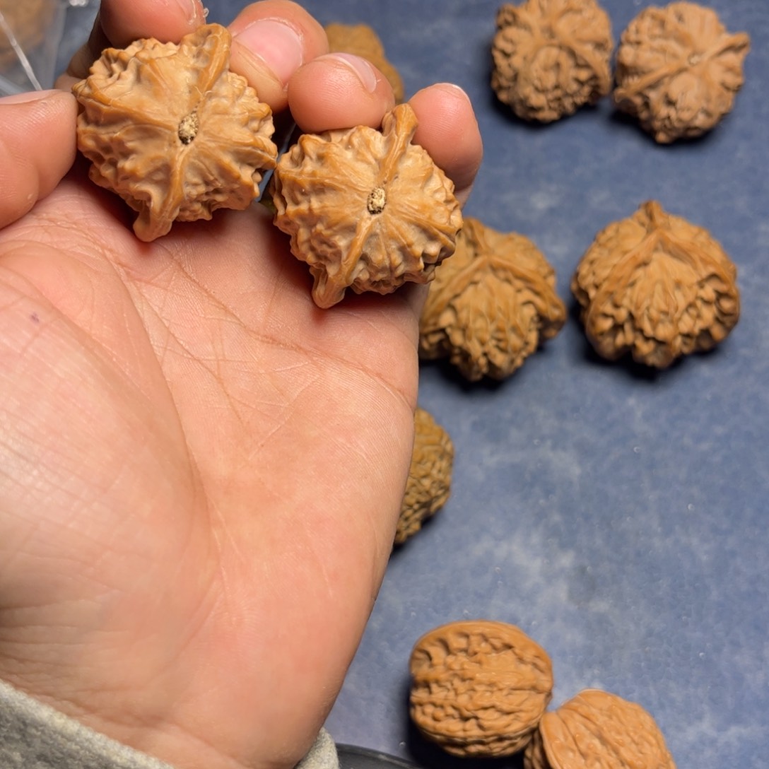 文玩核桃把件我***眠文玩核桃品种瓷娃娃