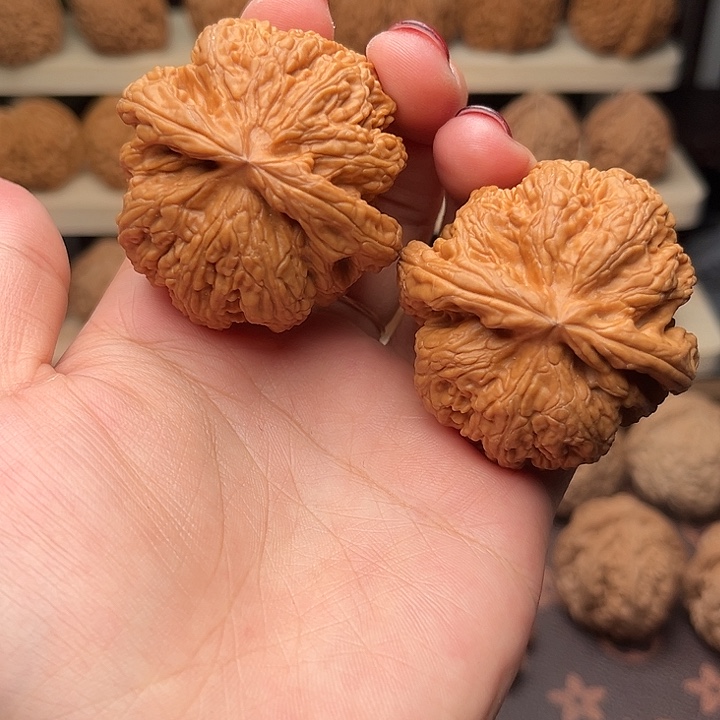 核桃46全品大粗筋精品对