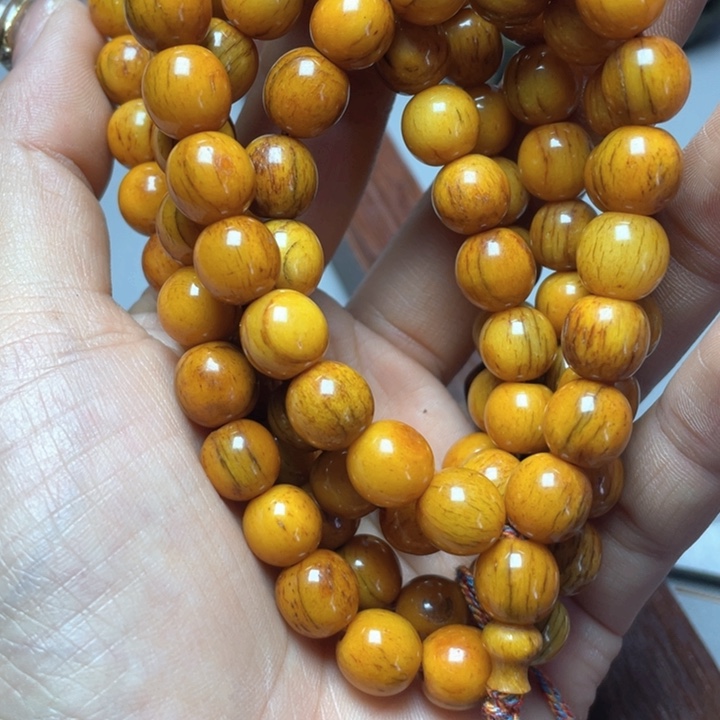 大果紫檀（缅甸花梨）