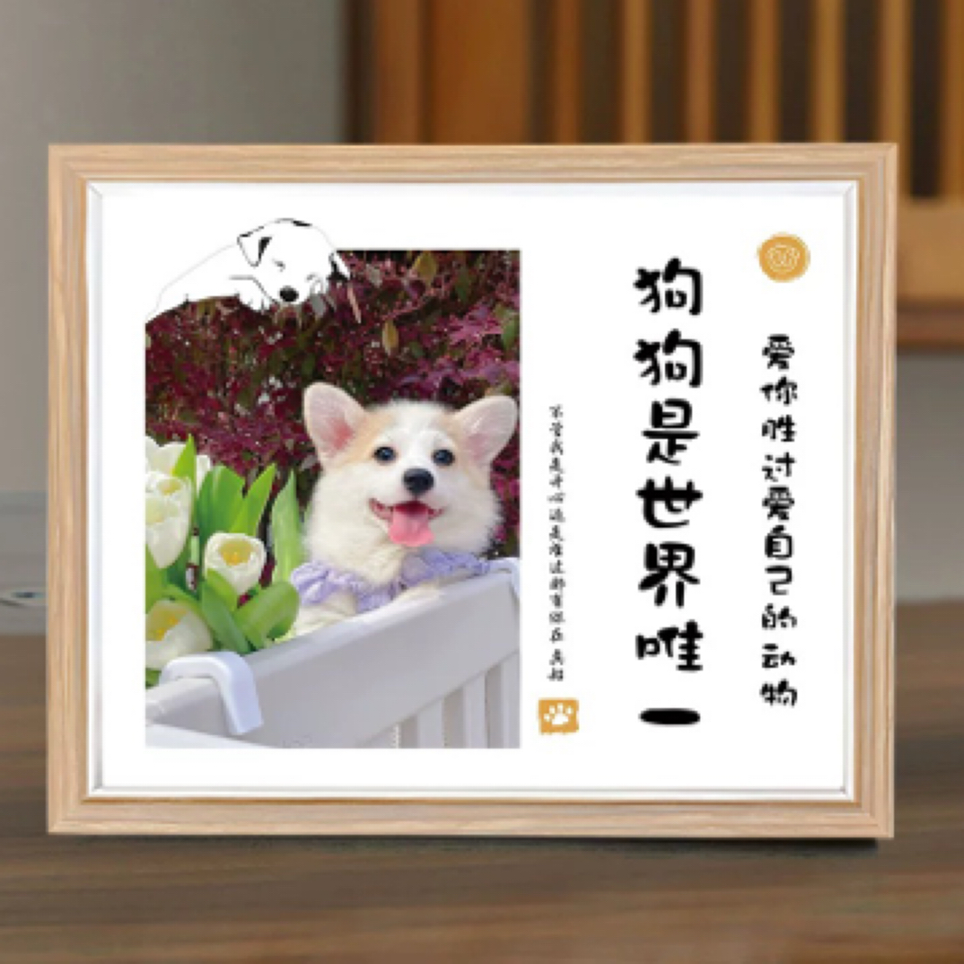 标本宠物通用链接