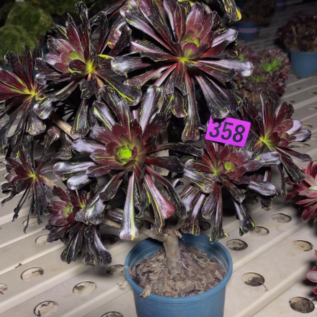 水墨丹青.7/////35包邮