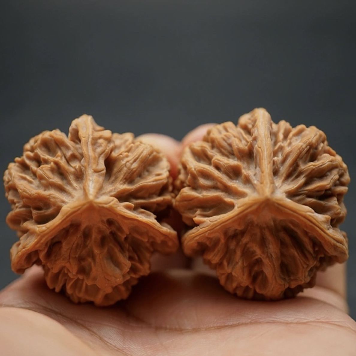 粗筋龙纹天然三棱，大边42高40