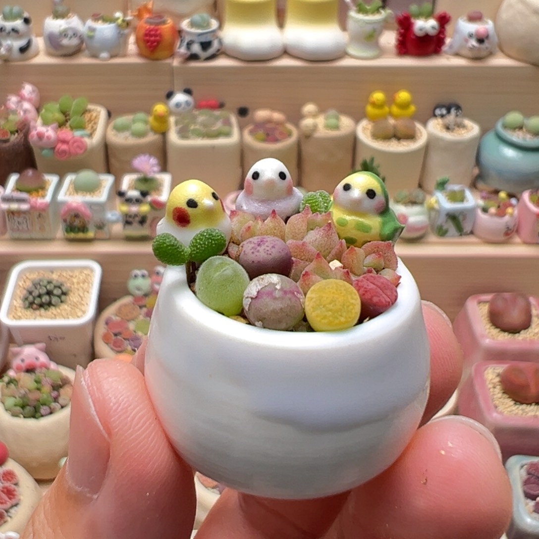 多肉植物110号花海