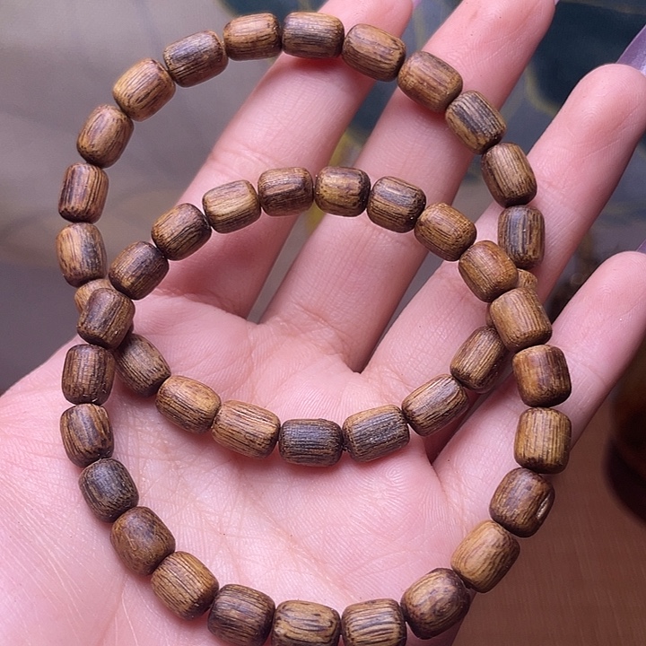 香榧木海南种植莺歌绿卡七3克➕随行多样性发一