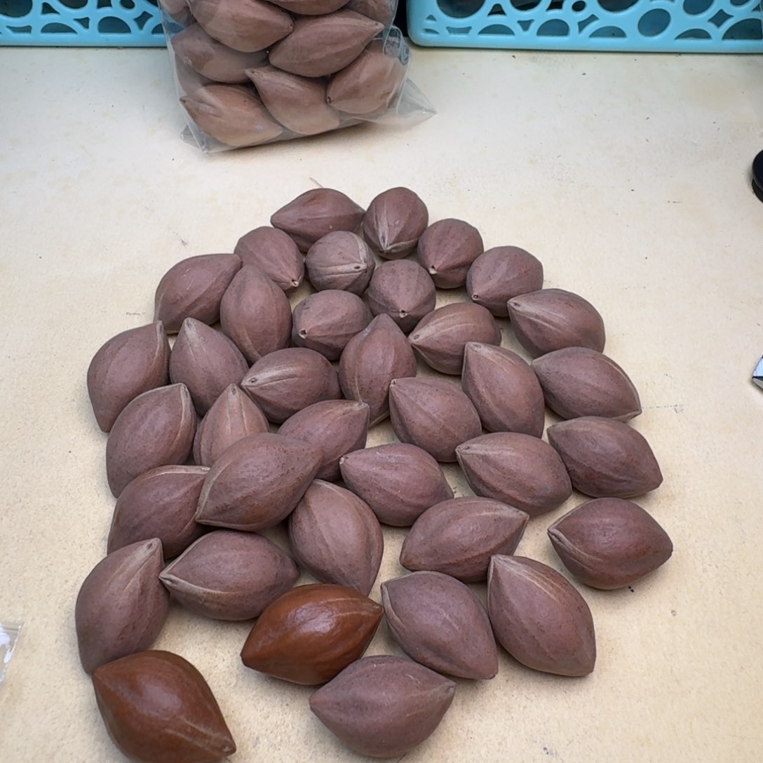 橄榄核手串/手链1