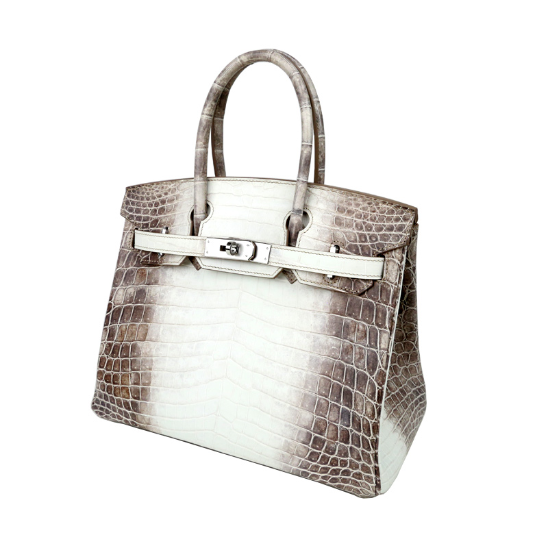 尼罗肚皮铂金手挽中号包喜马拉雅白轻奢气质女士手提包SWNB-021B