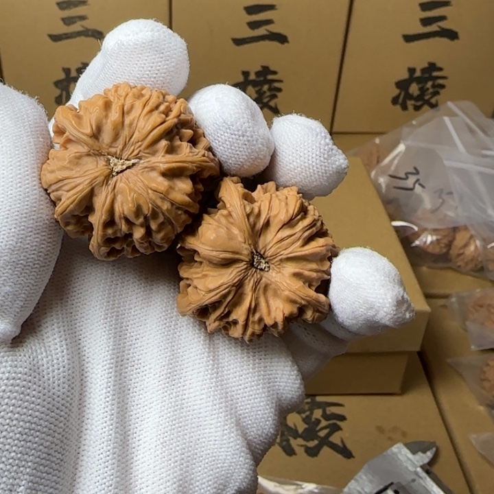 文玩核桃吊坠习*简单包装38尺寸玉龙三棱