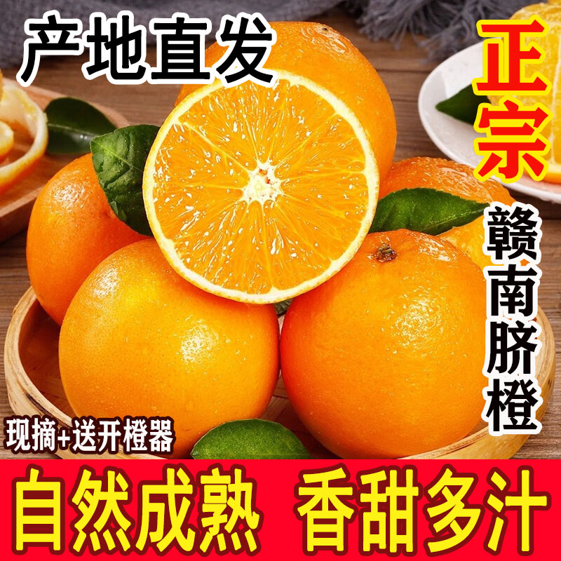 【主播推荐】江西赣南脐橙产地直发当季新鲜香甜橙子10斤整箱包邮