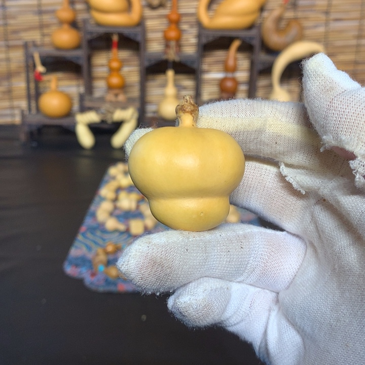 ?****ʔ金蟾是在哪点啊亲