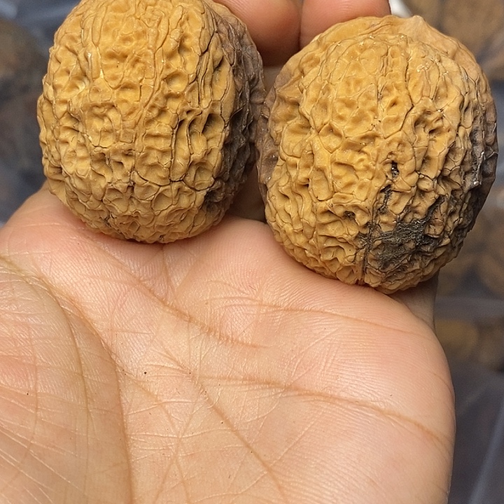 把件文玩核桃云南铁核桃42