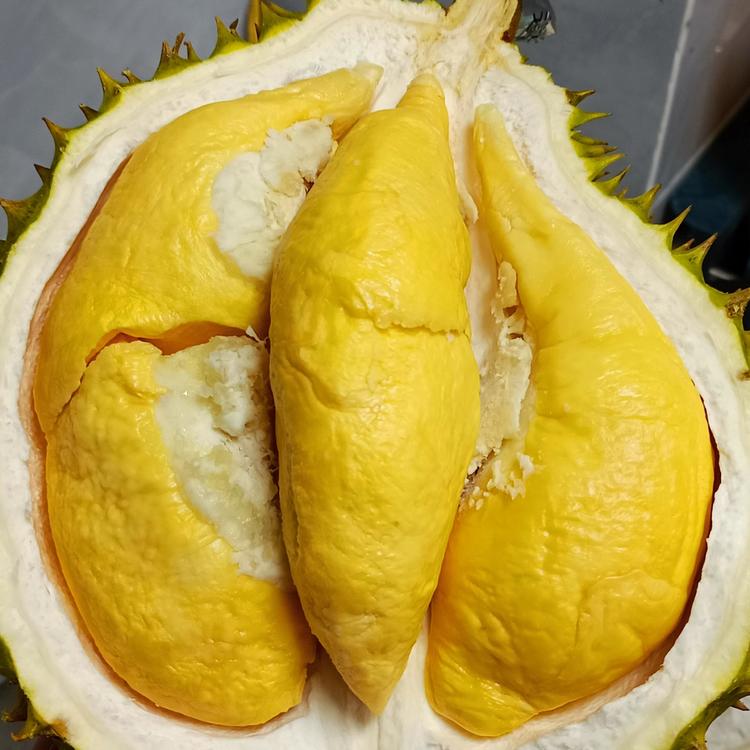 【一物一拍】干尧榴莲A级新鲜带壳包邮送货上门核大3-8斤干尧