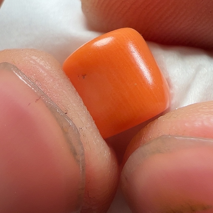 我们都是在这里看到的哈