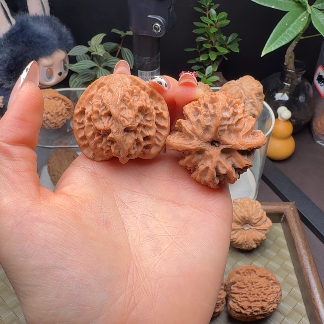 龙脊菩提把件全品三角苹果园42