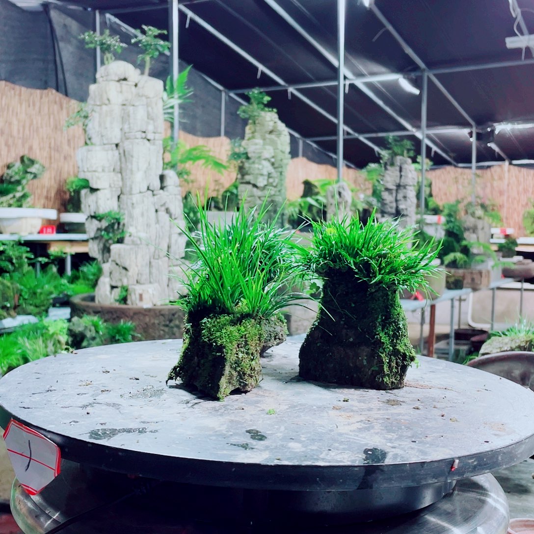 曾***经无花朵你要好好休息了吧不