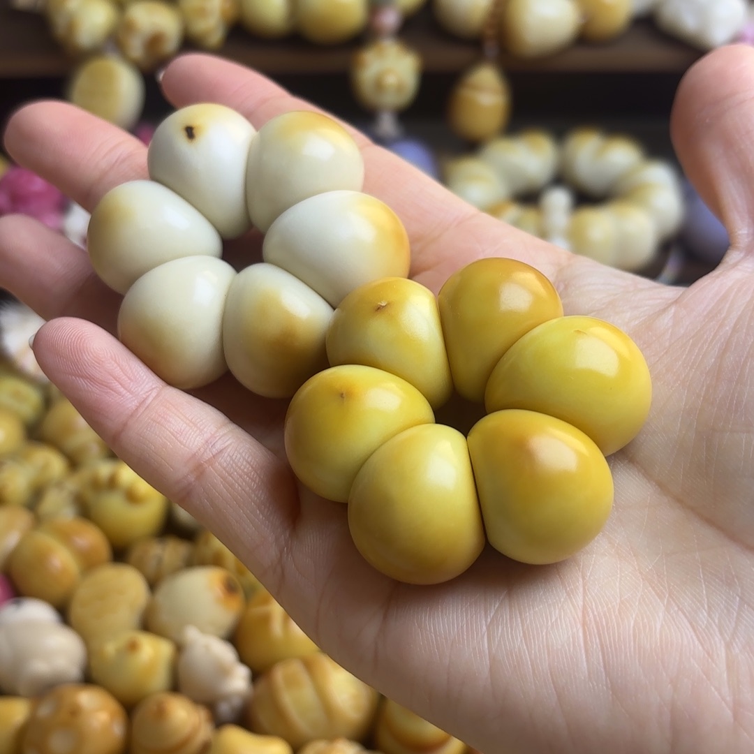 吊坠菩提根/象牙果微瑕