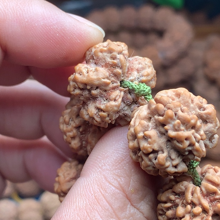 【闪购商品】金刚菩提手串龙舞梅花