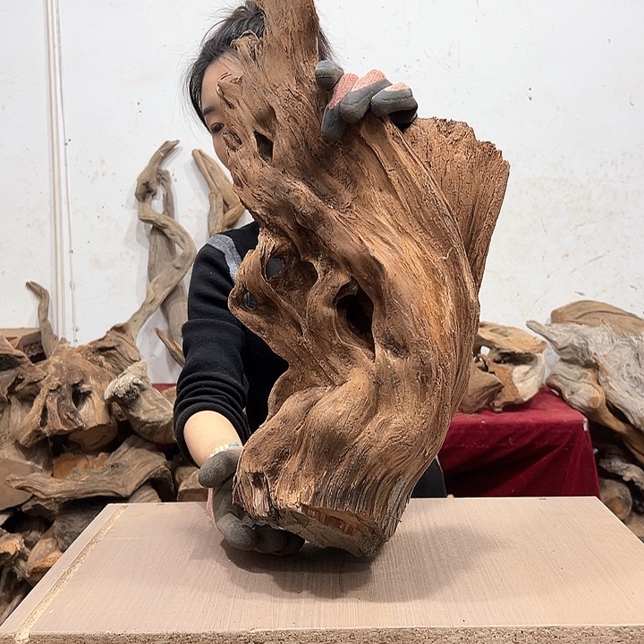 柏木盛****生我们都是好孩子