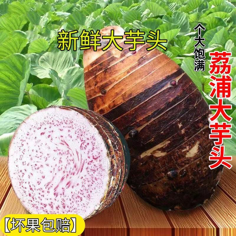 正宗广西荔浦芋头新鲜现挖粉糯香甜营养丰富特产
