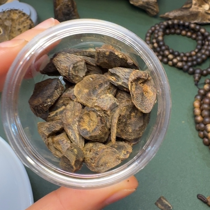 沉香手把件闭****度海南天然野树丁香老料28克