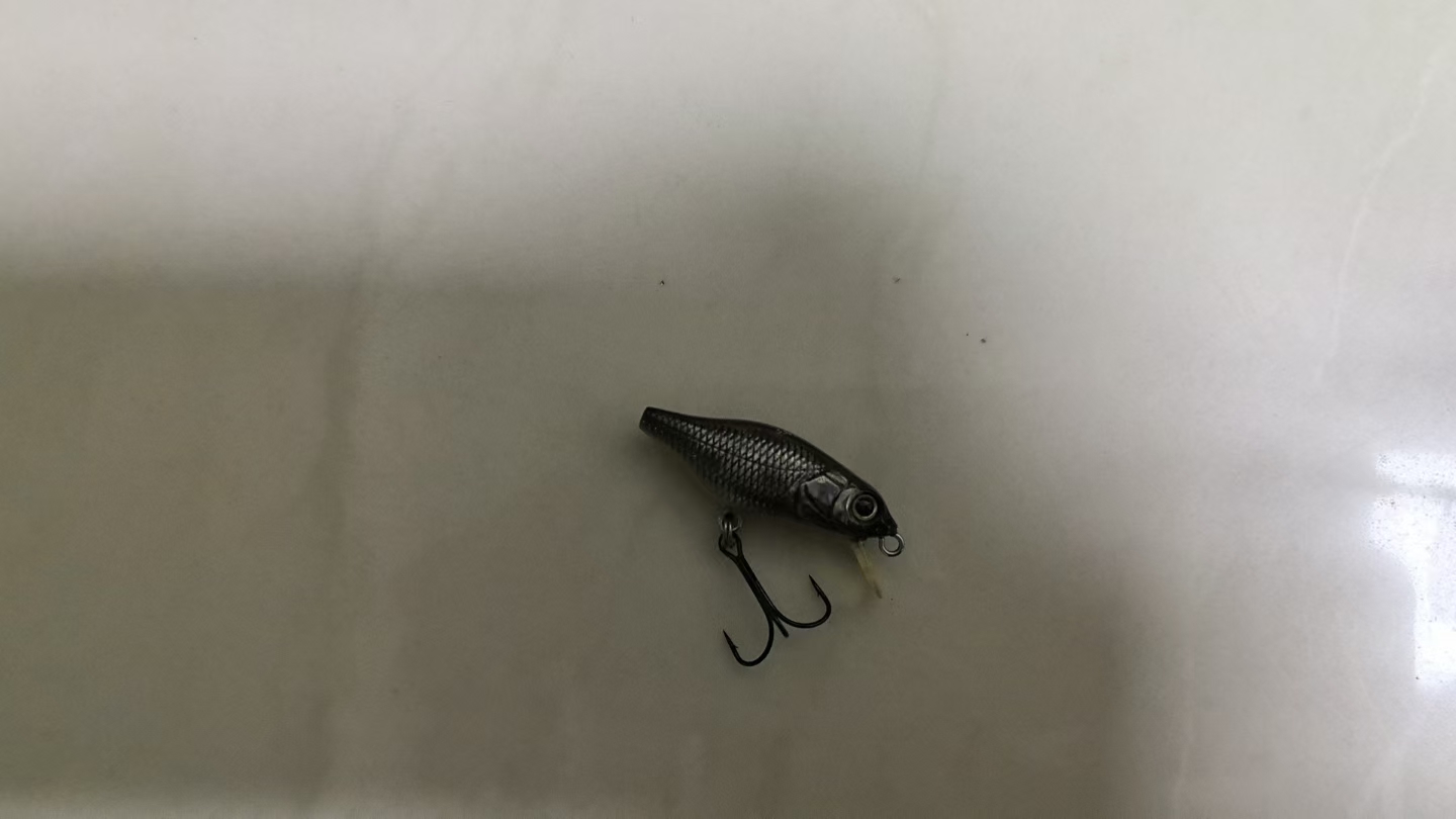 20250122-25 路亚饵