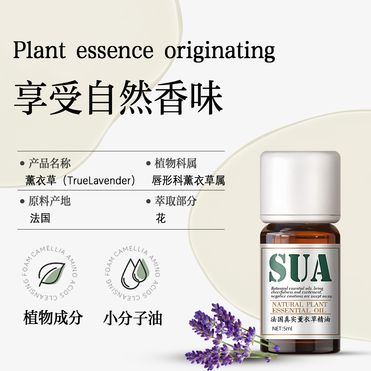 薰衣草精油（法国原料进口）