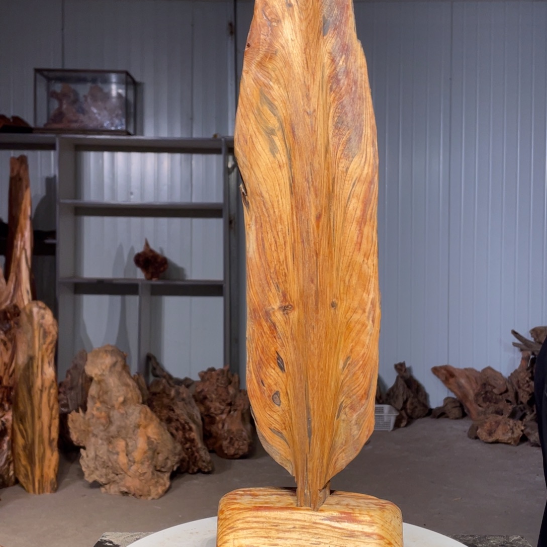 云***飞木猛子琥珀木摆件11