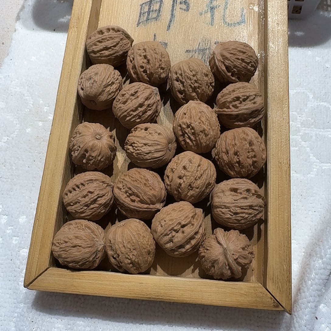 核桃手串/手链22号边22肚23高22