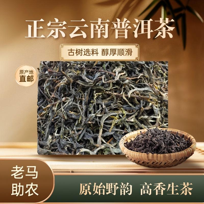 【老马助农】2025年云南普洱茶生茶古树茶散茶500克装t