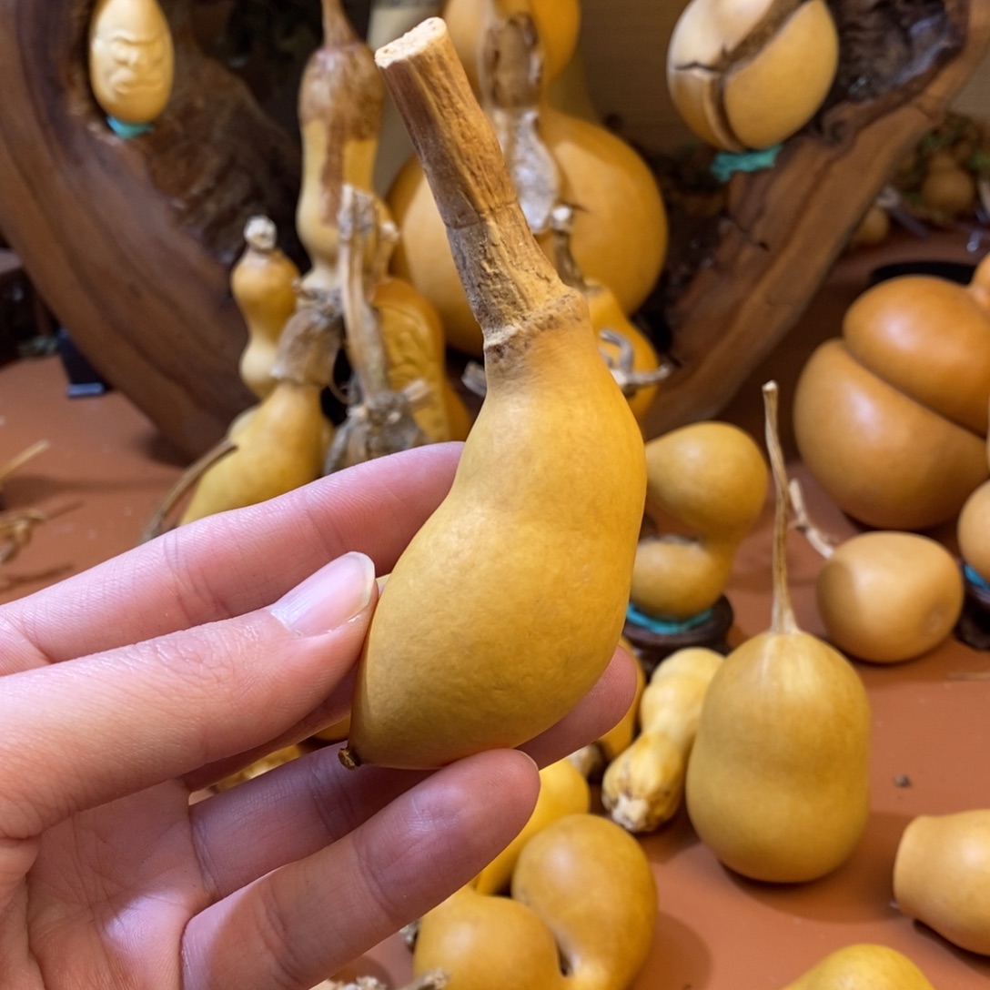 S***璐桂林教练来咯哦哦哦