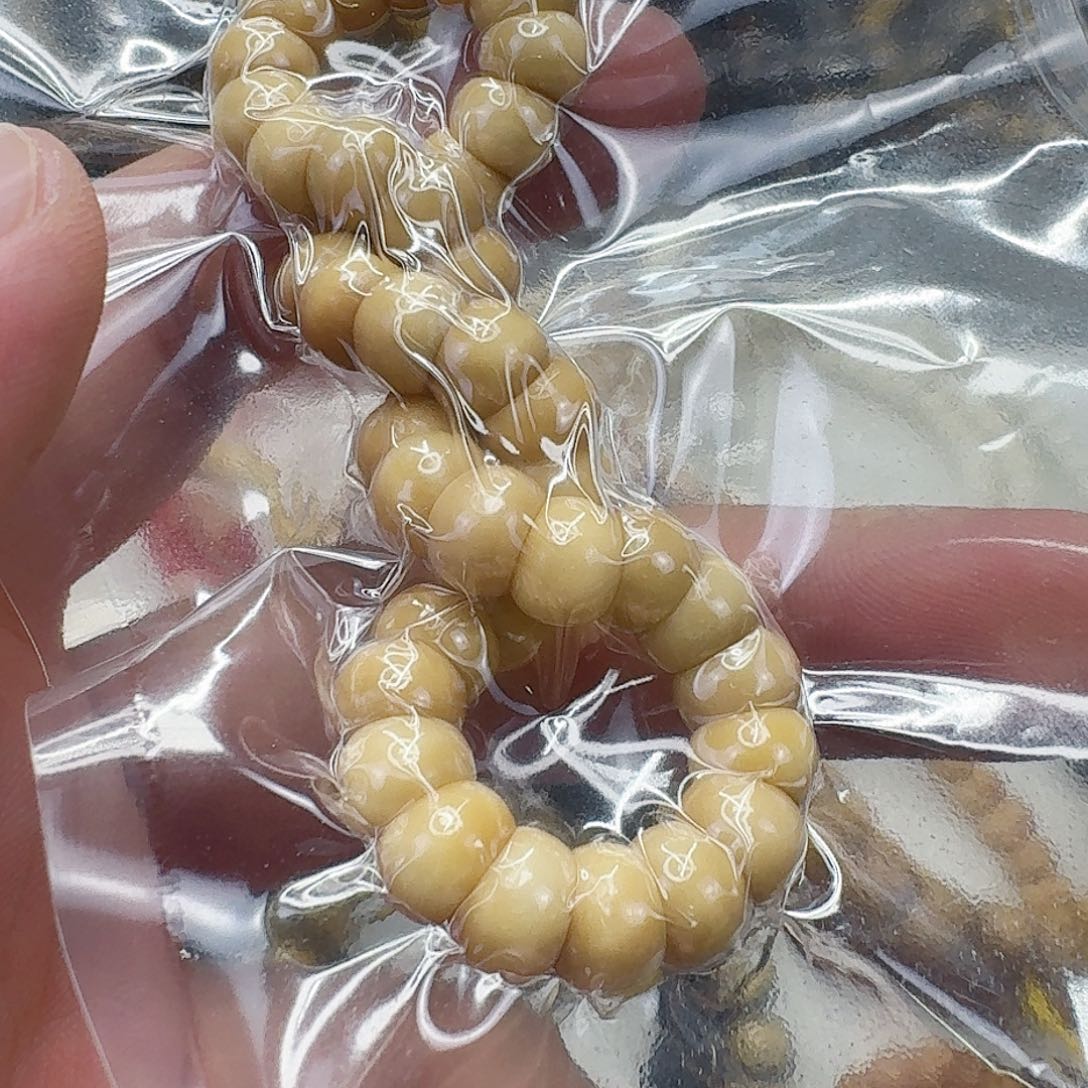 手串龙脊菩提16龙脊菩提猪大肠单圈0.8