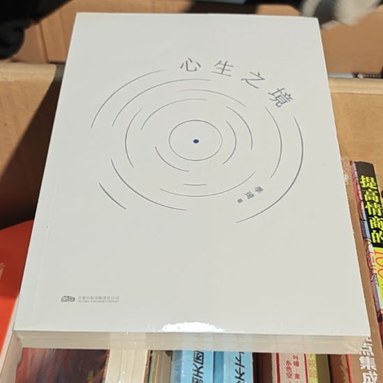 心生之境平装库存书