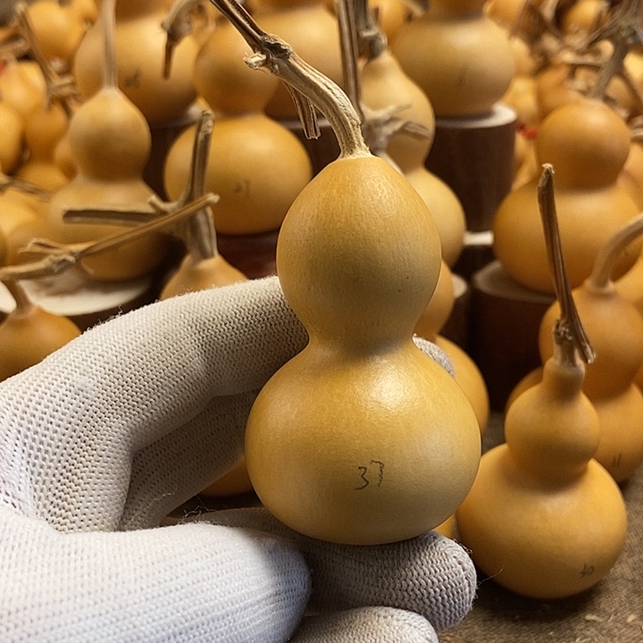 文玩葫芦 完美主义者 慎拍37