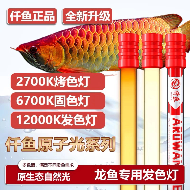龙鱼专用发色灯诱色增色仟鱼T5鱼缸原子灯nec金龙红龙鱼灯潜水灯