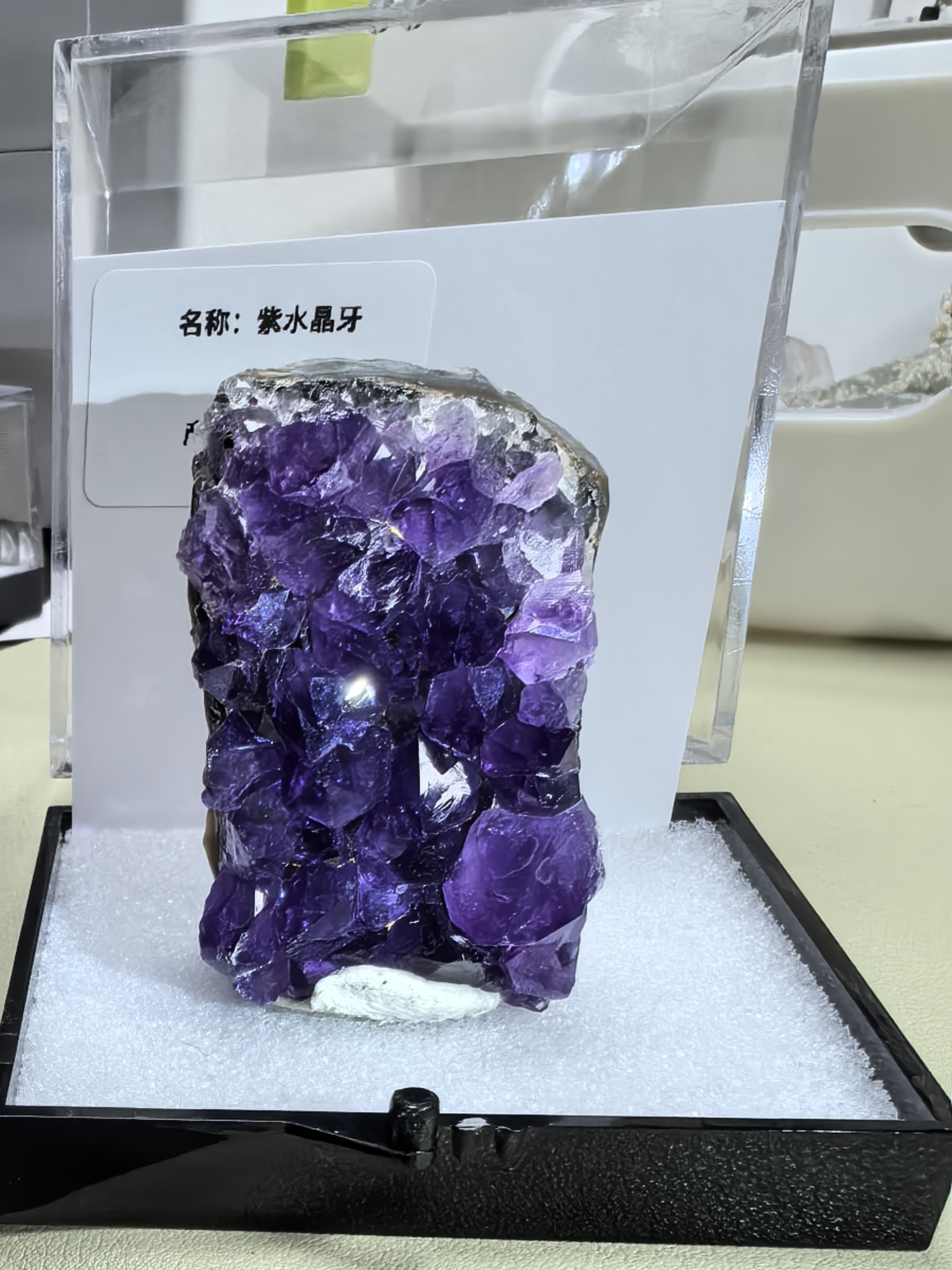 直播间链接  一物一拍