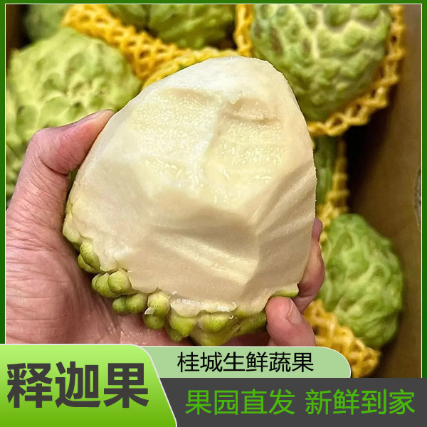 释迦果新鲜番荔枝水果凤梨牛奶佛头果林檎释迦摩尼果孕妇鲜果